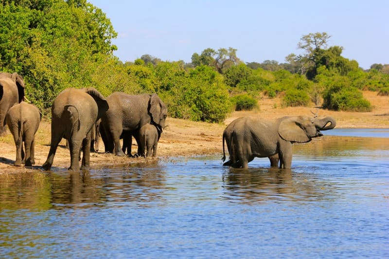 African Splendor: Luxury Rails and Cruise Journey of a Lifetime