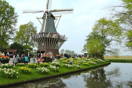 Cruise on the IJsselmeer, one of Holland's treasures (port-to-port cruise)